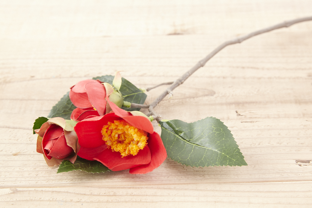 椿（赤） 花&蕾 30cm<br><br>No.000640｜Dish works RENTAL