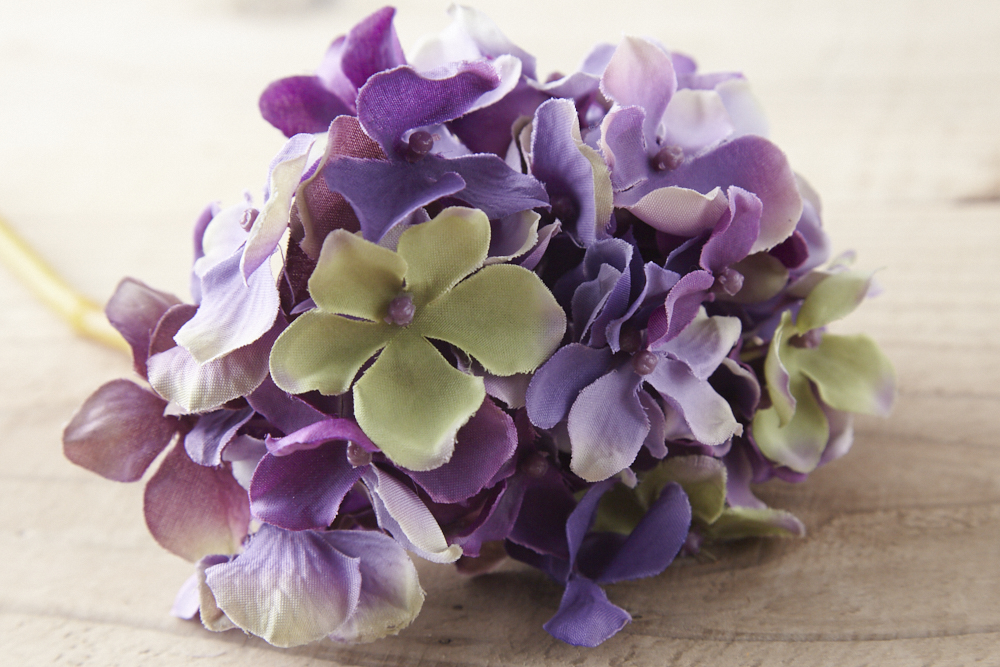 あじさい様　専用ページ あじさい様 専用ページ アジサイ様専用