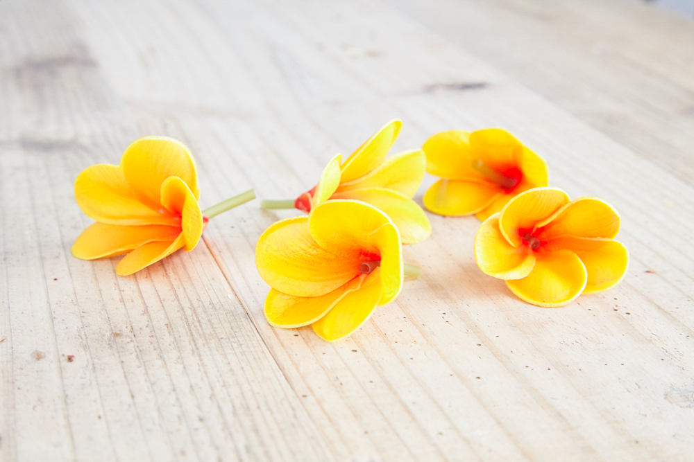 ❀花材 ✿プルメリア❀造花❀✿オーダーページ 暖かかっ