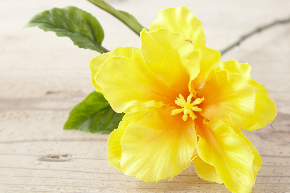 ☆ハイビスカスページです☆ ハイビスカスティー ティーパッグ（1g×60P） | 健康茶・その他の