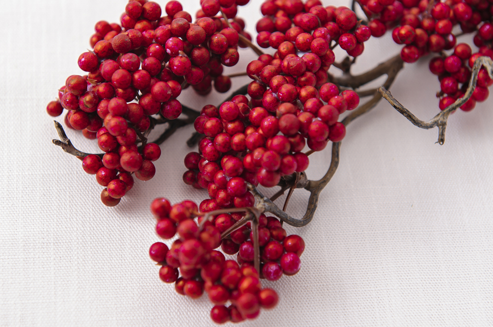 ペッパーベリースプレ－ （レッド） 30cm<br><br>No.002672｜Dish