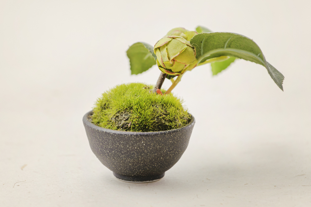 ミニチュア盆栽 (フェイク盆栽) Amazon｜人工盆栽【ミニ 盆栽 松 1個】松 五葉松 フェイク 枯れない